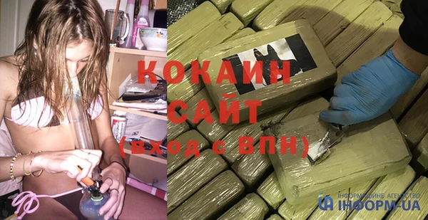 mdpv Бородино
