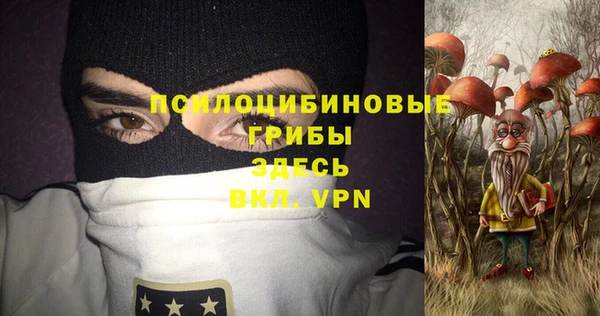 бошки Богородицк
