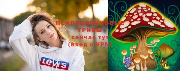 2c-b Богданович