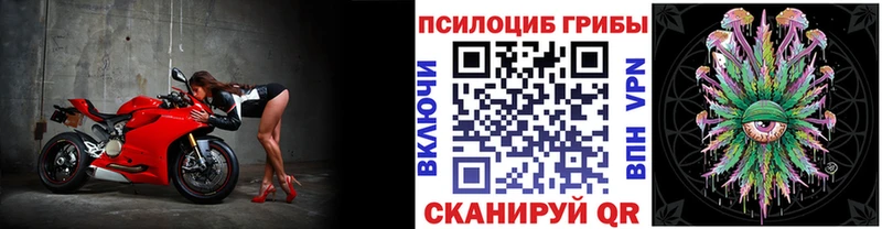Псилоцибиновые грибы ЛСД  Трубчевск 